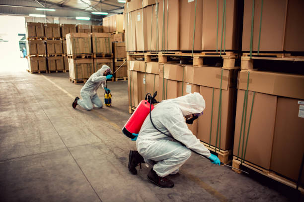 Best Bed Bug Extermination  in Pleasantville, NJ
