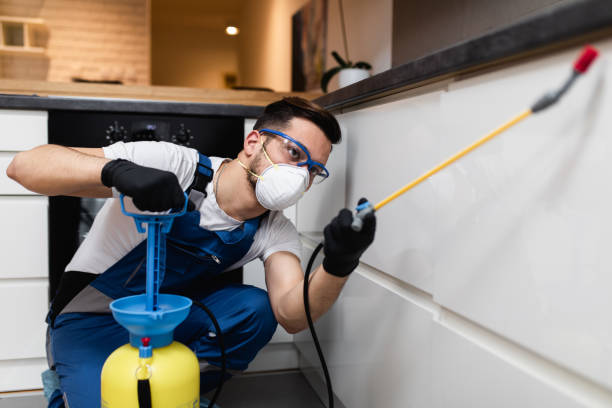 Best Flea Control Services  in Pleasantville, NJ