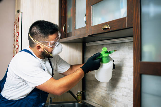 Best Exterminator Services  in Pleasantville, NJ