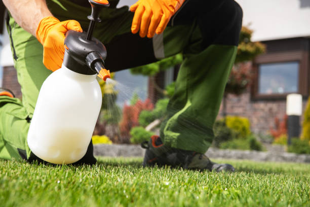Best Pest Prevention Services  in Pleasantville, NJ