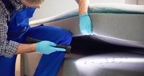 Best Residential Pest Control  in Pleasantville, NJ