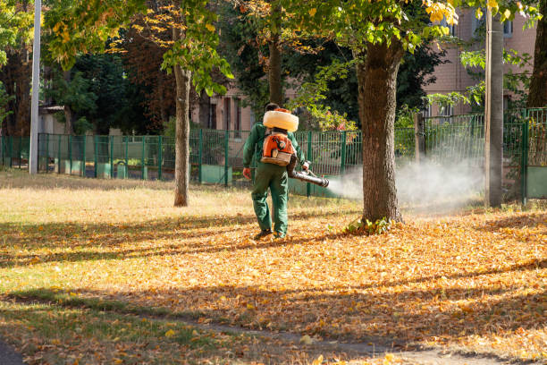 Bird Control in Pleasantville, NJ