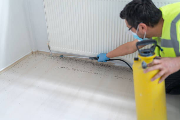 Best Pest Control for Restaurants  in Pleasantville, NJ