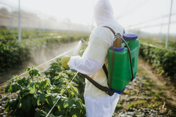 Best Exterminator Services  in Pleasantville, NJ